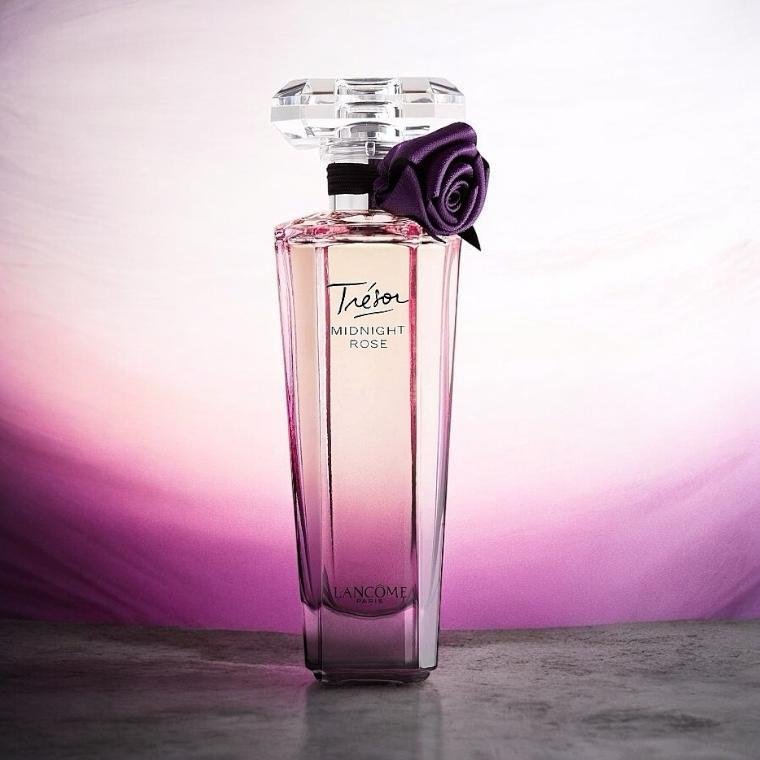 NIGHT ROSE